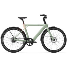 Tenways Electric bicycle TENWAYS CGO009, Sage Green