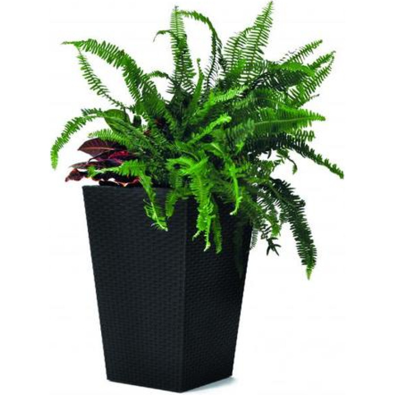 Keter Puķu pods Rattan Planter S 23,6L pelēks