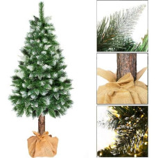 Springos Diamantgran på stam Springos CT0110, 160 cm