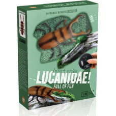 Fjärrstyrd skalbagge