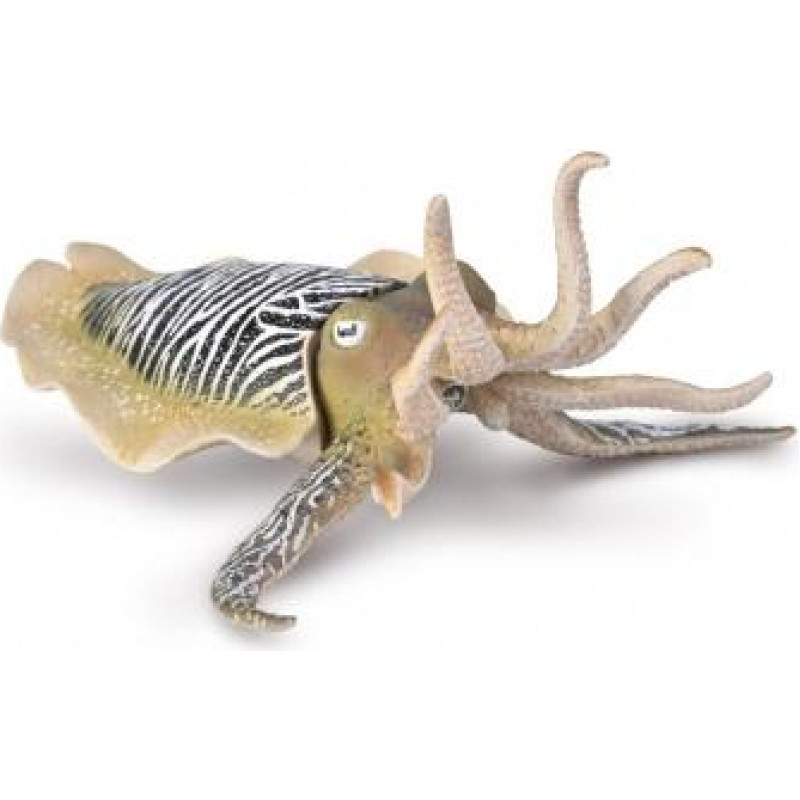 Collecta Jūras dzīvnieks Common Cuttlefish (XL), 80009