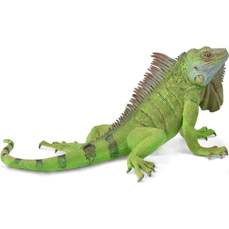 Collecta Iguana (XL), 88965