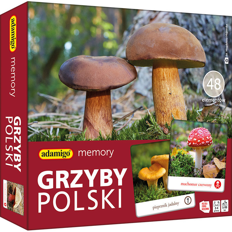 GRZYBY POLSKIE - MEMORY