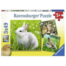 Ravensburger puzle 3X49 R 08041