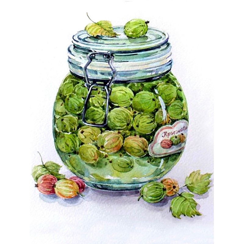 TSVETNOY Dimantu mozaīkas komplekts 30x40cm Gooseberry Jame, LE052e