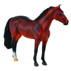 COLLECTA (XL)  Hanoveras ērzelis bērs 88