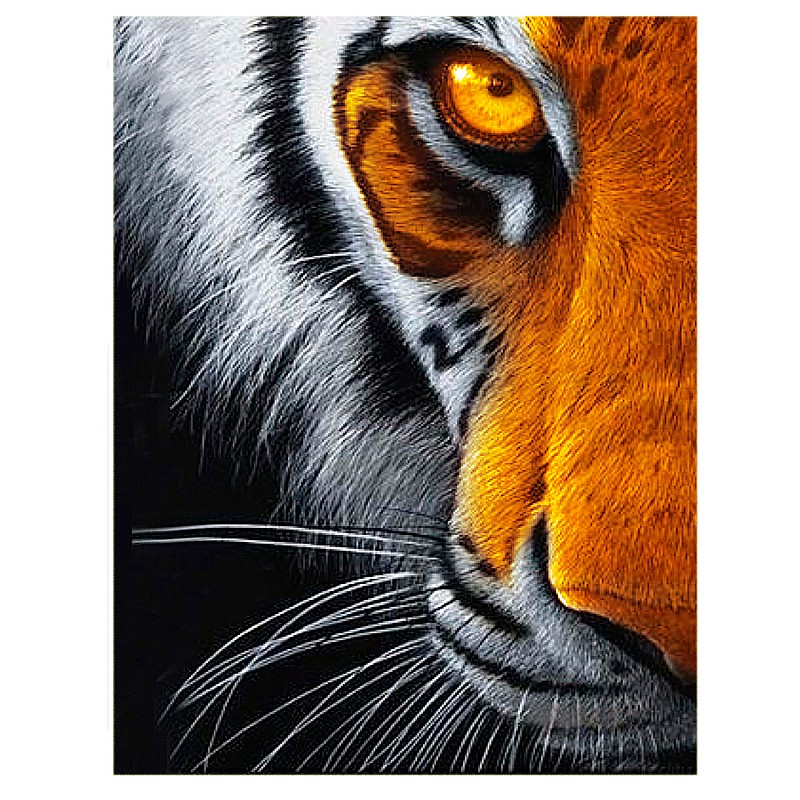 TSVETNOY Dimantu mozaīkas komplekts 40x50cm Eye of the Predator, LG167e
