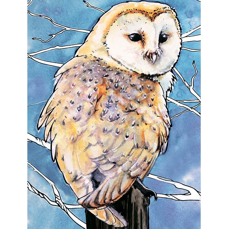 TSVETNOY Dimantu mozaīkas komplekts 30x40cm Barn Owl, LE120e